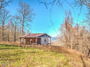 172 Pam Ln, Townsend, TN 37882