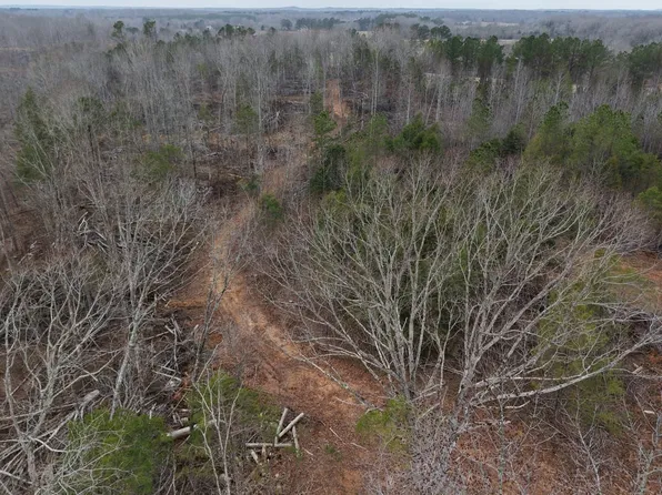 Spring Hill Cemetery Rd, Sardis, TN 38371