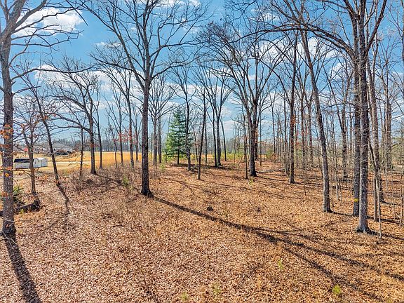 2nd image of 0 Peavine Rd