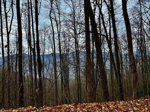 (undisclosed Address), Whittier, NC 28789