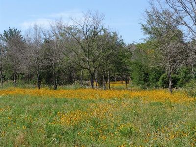 1921 Eastridge Ln, Madisonville, TX, 77864