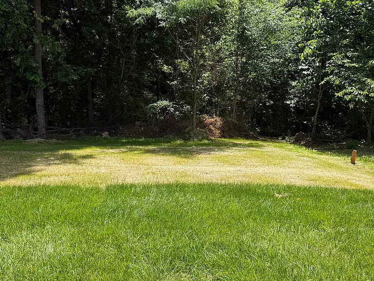 1371 Mourning Cloak Dr — Photo 23