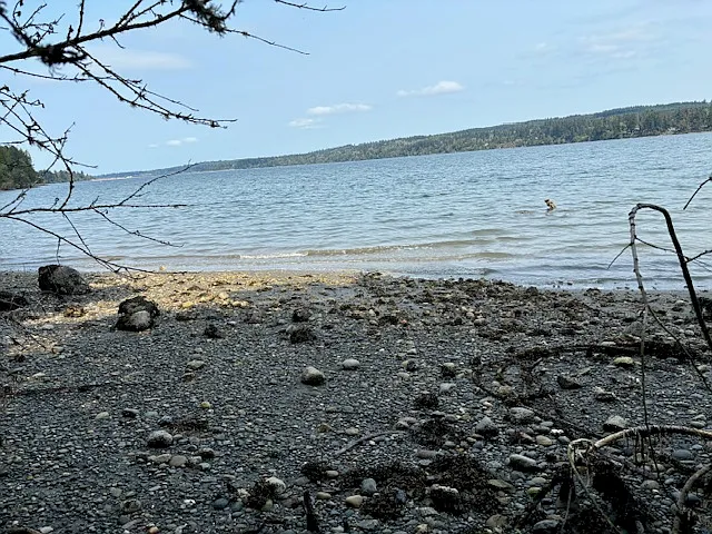 Beach at middle tide