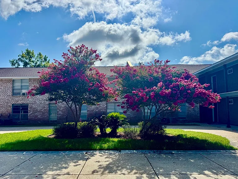 Spanish Oaks — Photo 27