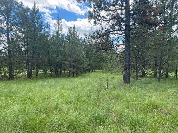 Nhn Meadow Rd Lot 51, Polson, MT 59860