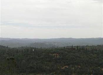 5th image of 11679 Hilltop Dr
