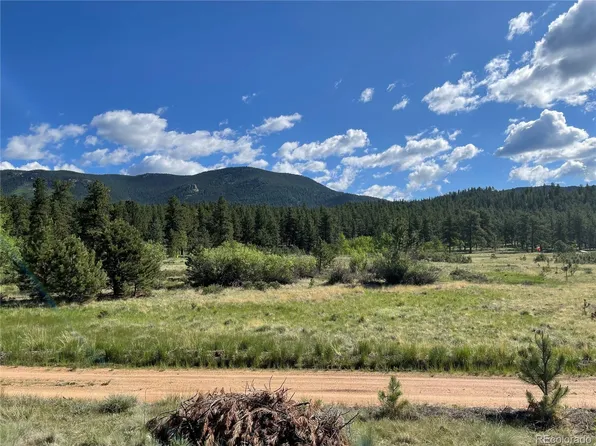 116 Neal Street, Bailey, CO 80421