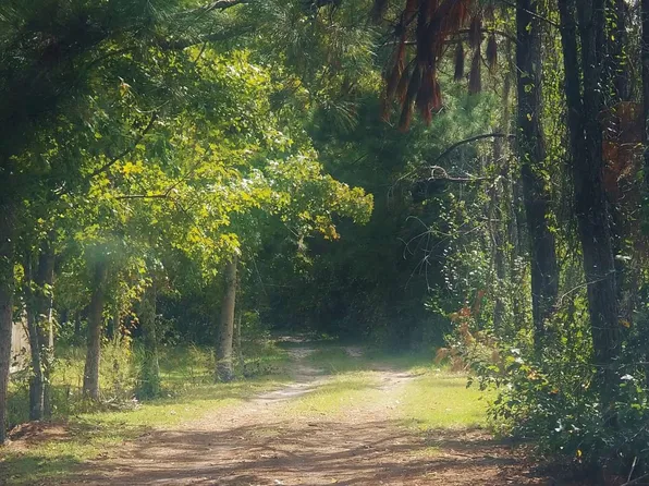 3156 NW Moore Rd, Lake City, FL 32055