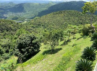 715 Barrio Cercadillo #5.0, Cayey, PR 00736