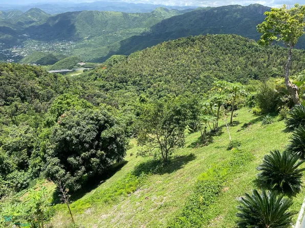 715 Barrio Cercadillo #5.0, Cayey, PR 00736