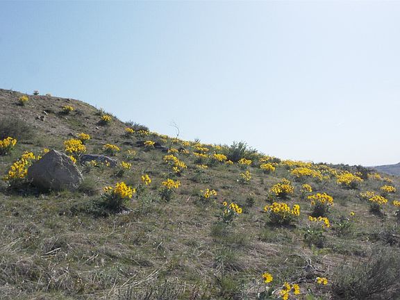 4th image of 31 Cowboy Road