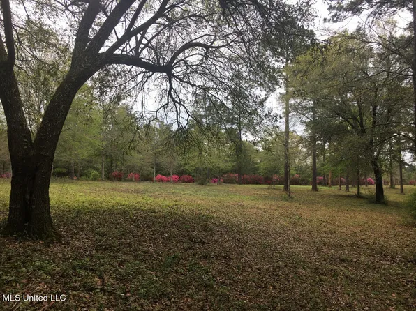 1 Lost Lunker Dr, Poplarville, MS 39470