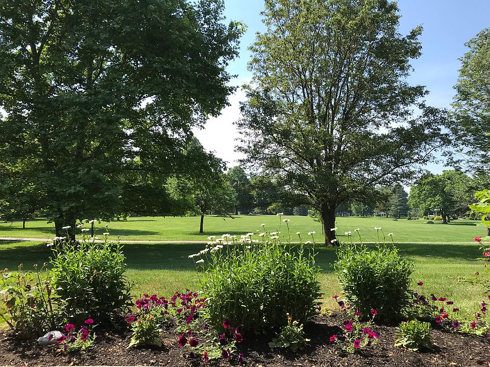 The view from your patio