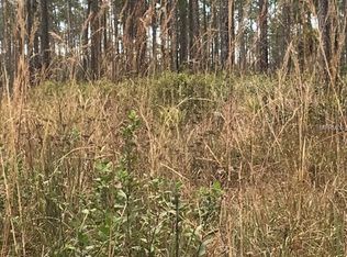 202 Minwill Cir, Georgetown, FL 32139