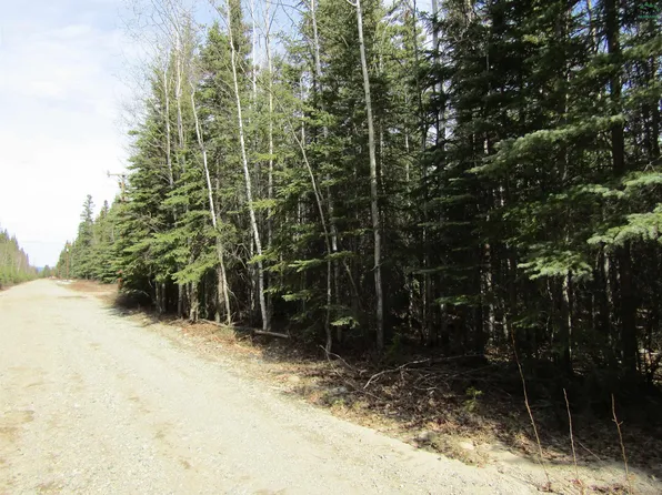 Nhn Clearwater Ext, Delta Junction, AK 99737