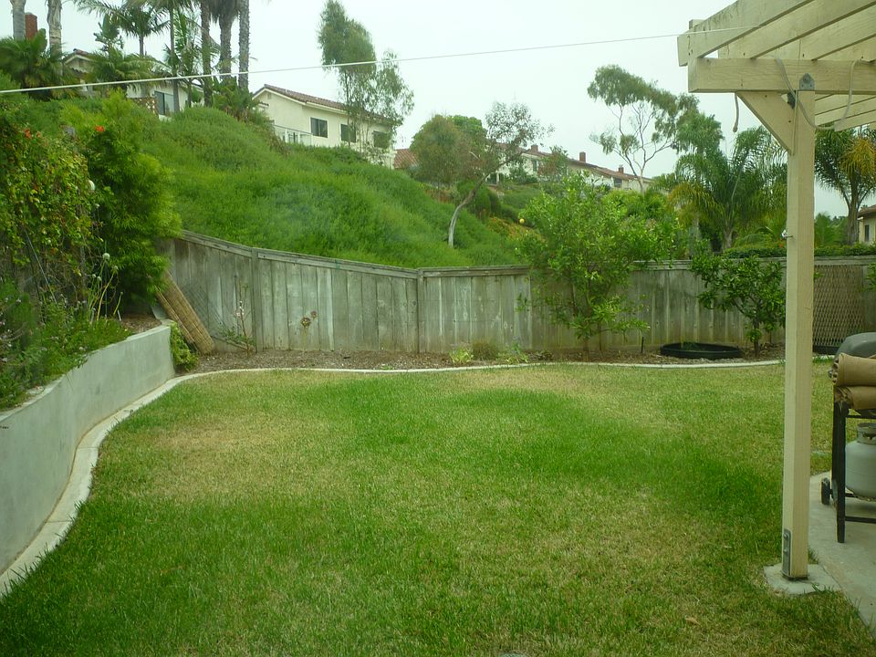 Backyard 1