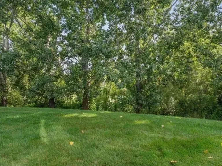 4969 Education Dr — Photo 12
