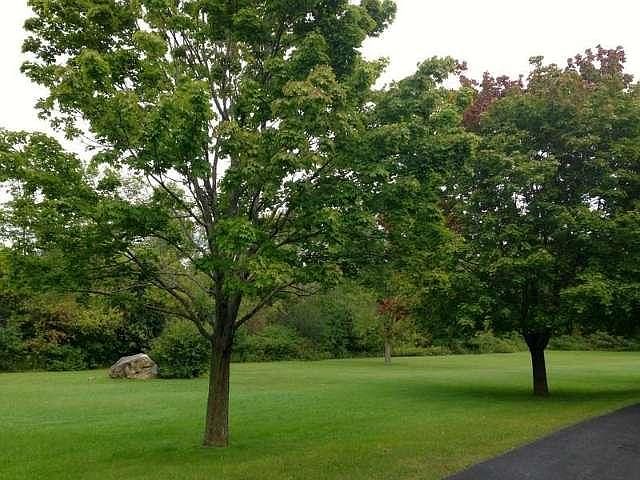 2nd image of 3640 Town Hall Rd
