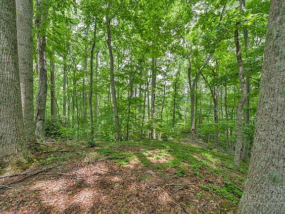 2nd image of B & C Lost Branch Trail