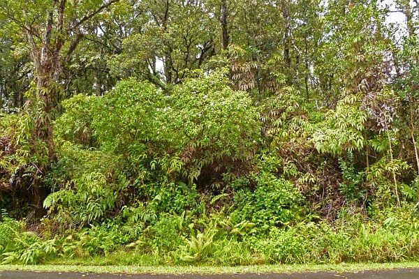 1st image of N Kumukahi St Lot 23