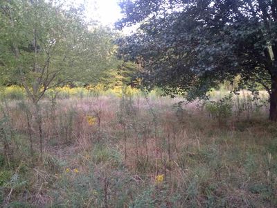 186 Sand Mountain Rd, Old Fort, TN, 37362