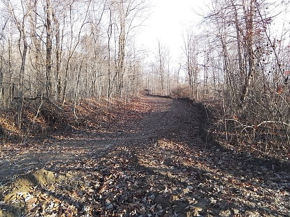 5th image of 1500 Bear Mountain Road