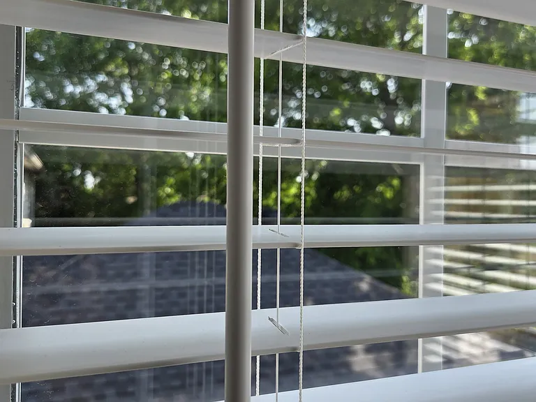 view from 3rd BR, left window