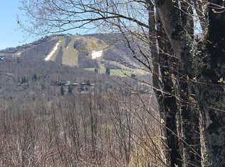 111 Ash Ln, Banner Elk, NC 28604