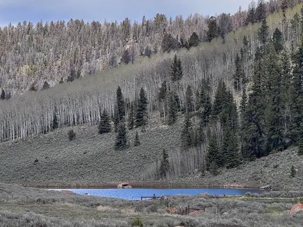 TBD Cardwell Draw Road, Powderhorn, CO 81243