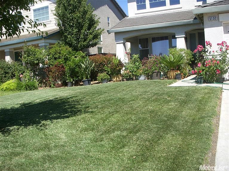 spacious front yard