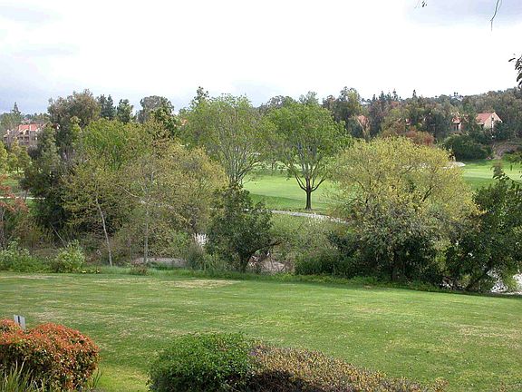 view golf & gree belt