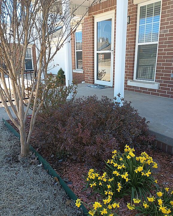 1st image of 731 Embassy Pkwy