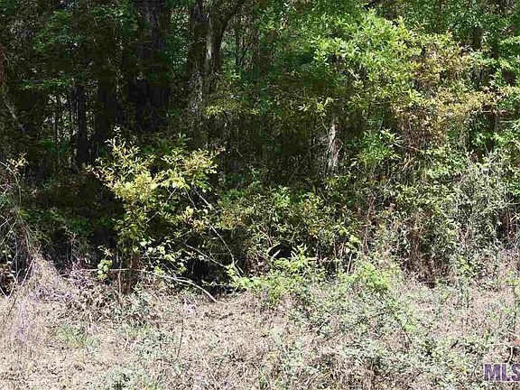 2nd image of LOT 19 Aydell Ln