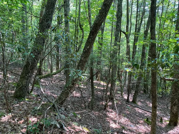 Locust Gap Rd, Mountain City, TN 37683