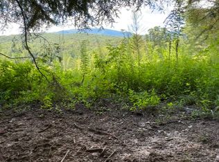 3.8 Big Creek Rd, Ellijay, GA 30536