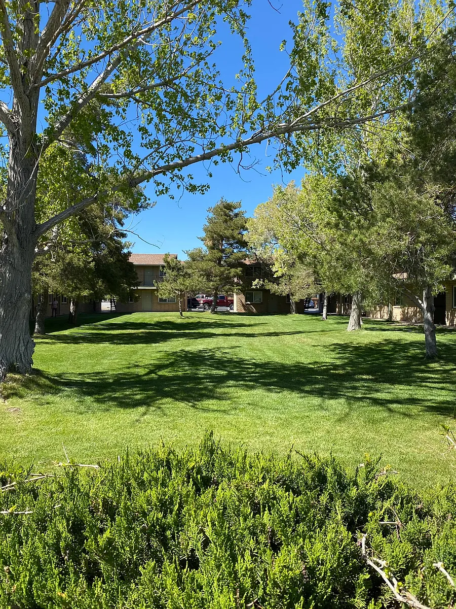 Building Photo - Pine Meadows