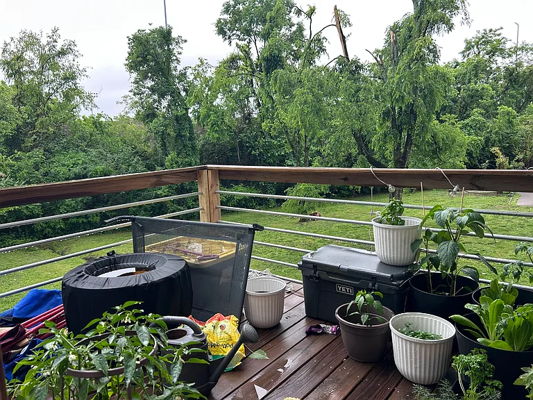 807 Channing Dr — Photo 15