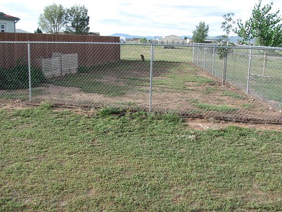 Dog Run