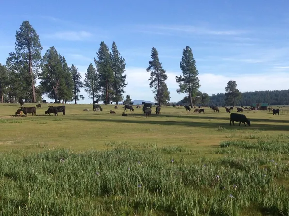 0 National Forest Developmen #49, Chiloquin, OR 97624