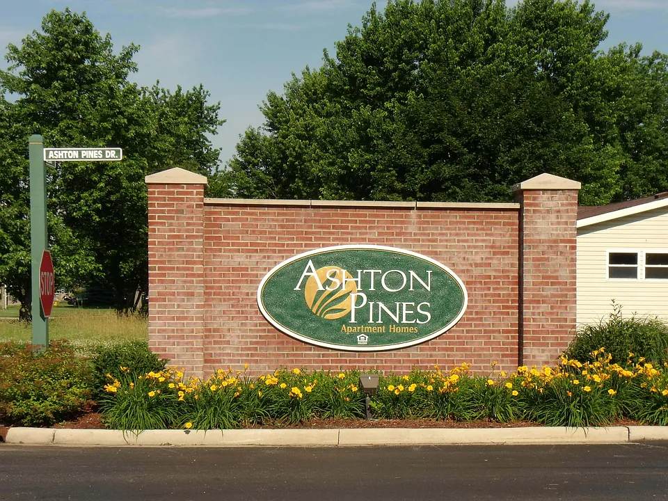 Ashton Pines