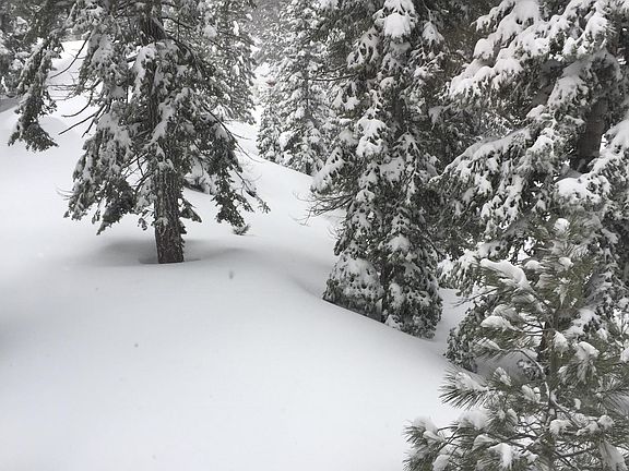 2nd image of 106 Carol Cir