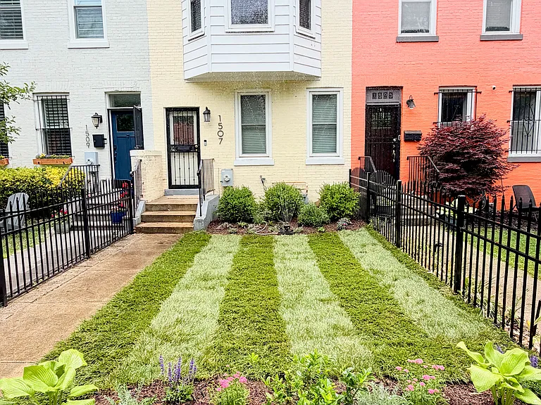 Newly planted pollinator-friendly landscaping and fresh sod!