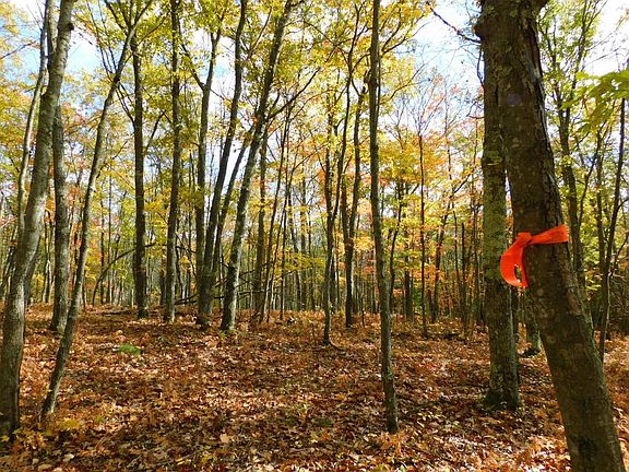 3rd image of xxxx Sajdak Rd