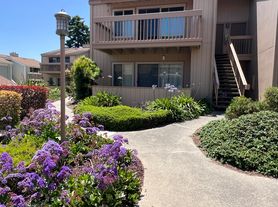300 Glenwood Cir