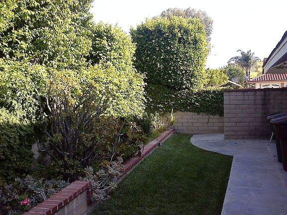 Green belted side yard