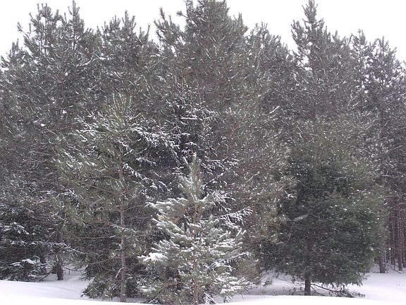 5th image of Coates Hwy