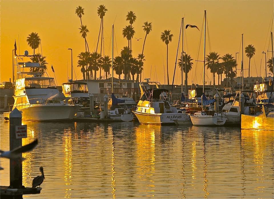 Oceanside Harbor