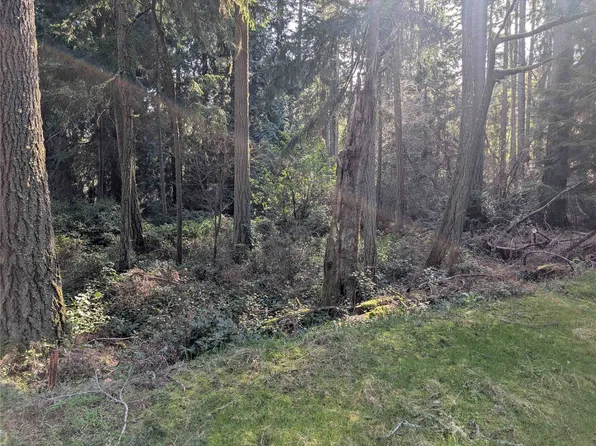 10325 Totem Way, Anderson Island, WA 98303