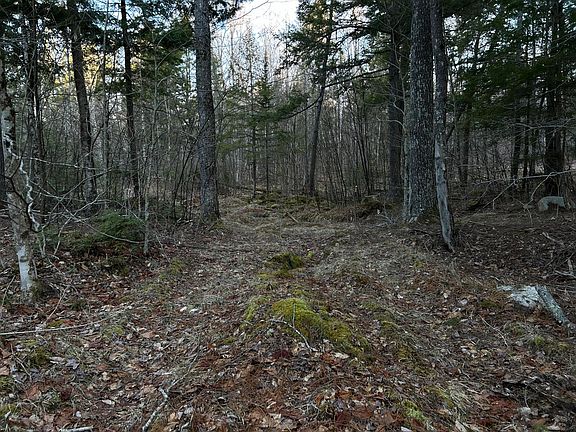4th image of M7L22,L31 Nelson Ridge Road N