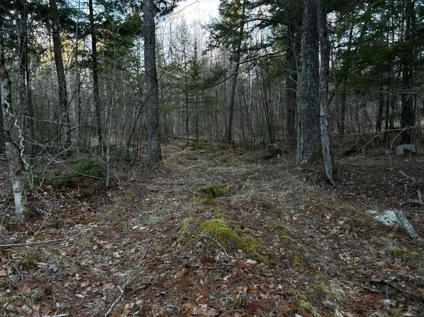 M7L22 Nelson Ridge Road N, Washington, ME 04574